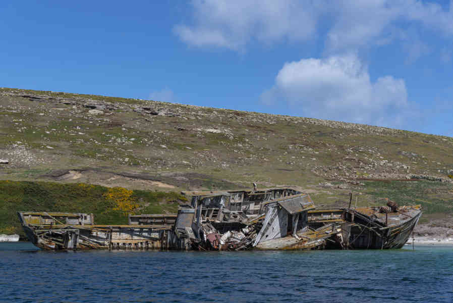Islas Falkland o Malvinas 057 - New Island.jpg